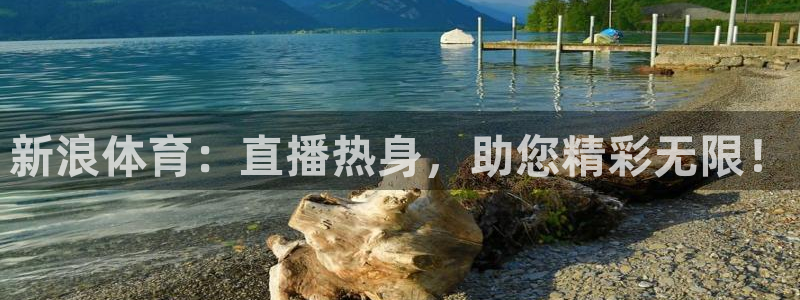 新浪体育：直播热身，助您精彩无限！