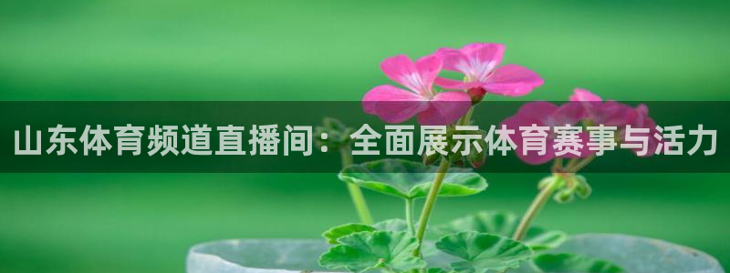 山东体育频道直播间：全面展示体育赛事与活力