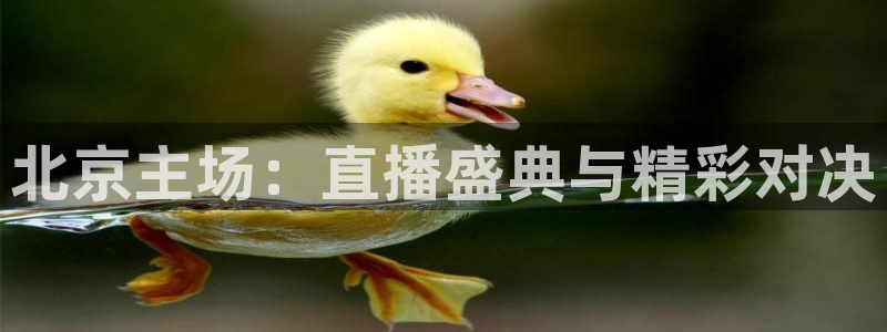 北京主场：直播盛典与精彩对决