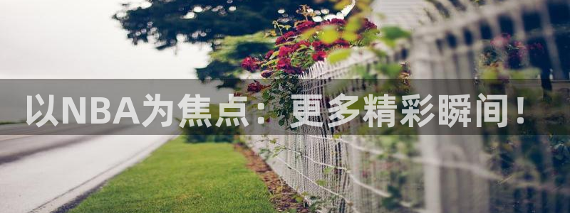 以NBA为焦点：更多精彩瞬间！