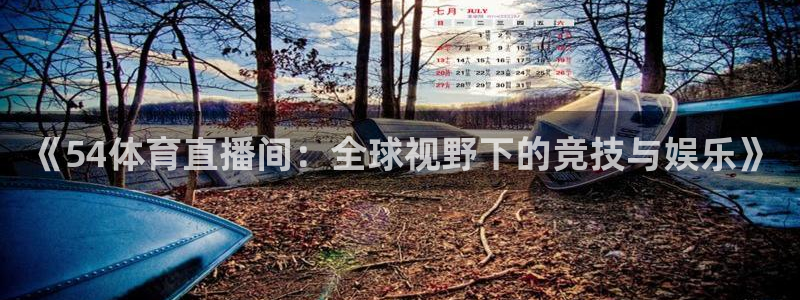 《54体育直播间：全球视野下的竞技与娱乐》