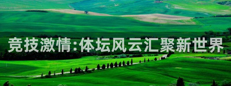 竞技激情:体坛风云汇聚新世界